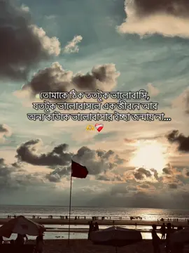 ঠিক ততটুক ভালোবাসি তোমাকে....🫶❤️‍🩹#ক্যাপশন #trendingcaption #beachview #captionvideo #natureview 