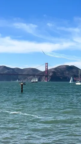 Watching the Canadian Snowbirds #GoldenGateBridge #CanadianSnowbirds #SanFrancisco #fleetweek #fyp