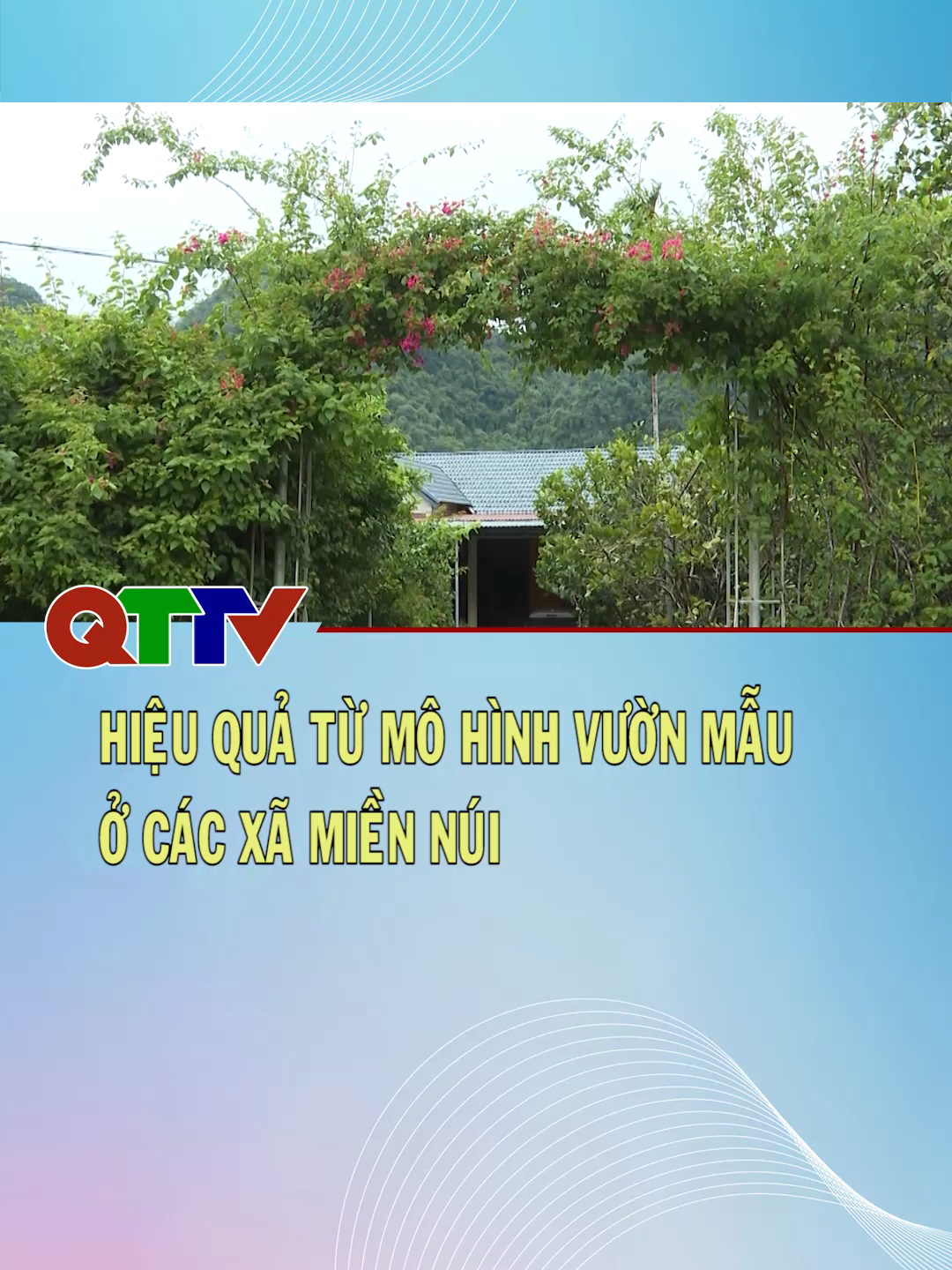 Thời gian qua, các xã miền núi trong tỉnh đã tích cực triển khai mô hình vườn mẫu, coi đây là hướng đi phù hợp trong xây dựng nông thôn mới. Mô hình không chỉ góp phần chỉnh trang cảnh quan, mà còn mở hướng phát triển kinh tế bền vững cho người dân vùng cao. #qttv #truyenhinhquangtri #quangtri #vuonmau #xamiennui