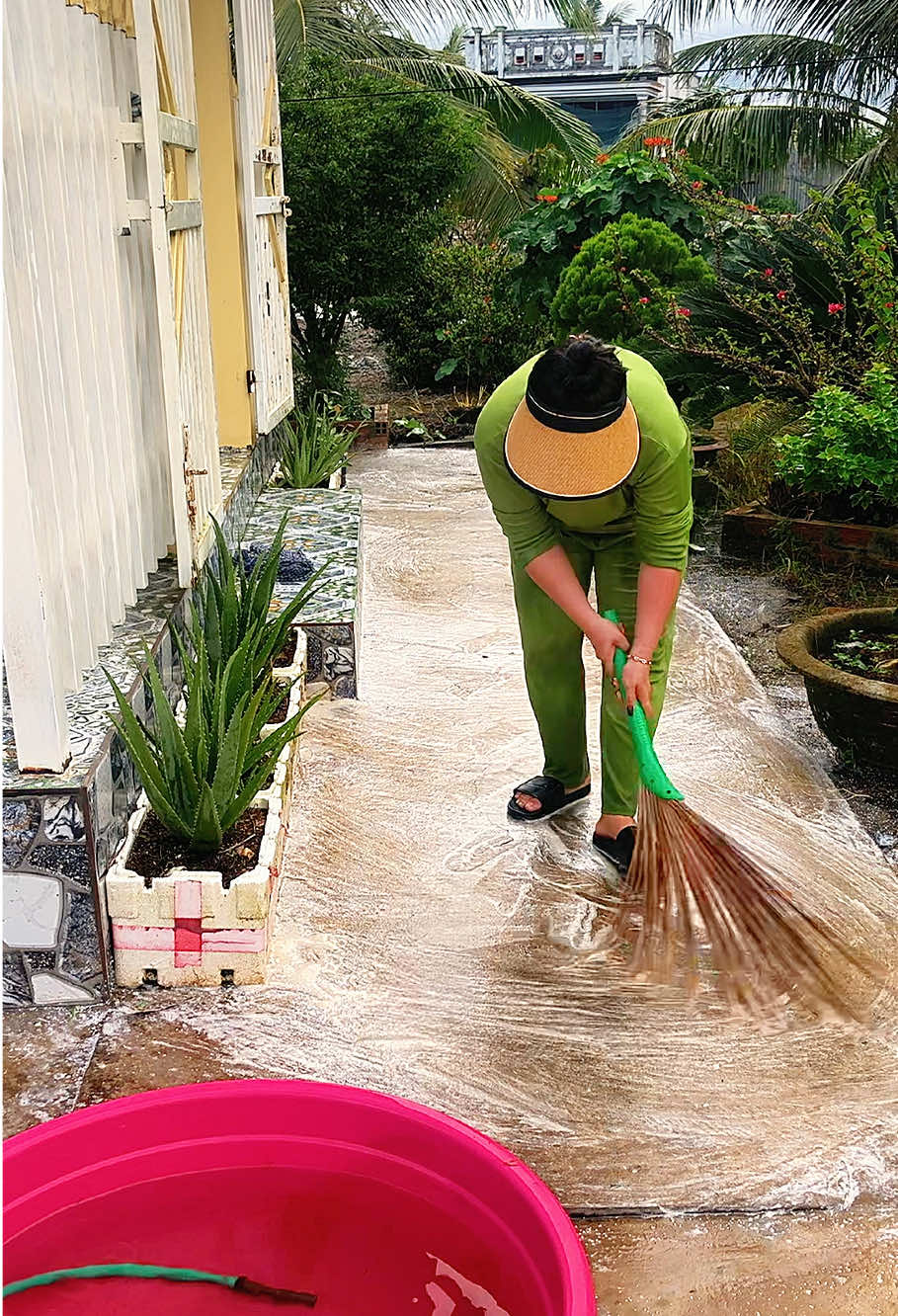 Bột tẩy rong rêu nền xi măng sân bê tông rong lâu ngày đều tẩy sạch  @Ngọc Lanh (Mẹ Cutin)  @Ngọc Lanh (Mẹ Cutin)  @Ngọc Lanh (Mẹ Cutin)  #bottayrongreu #bottaydietrong #giadungtienich #ngoclanhmecutin #xuhướng 