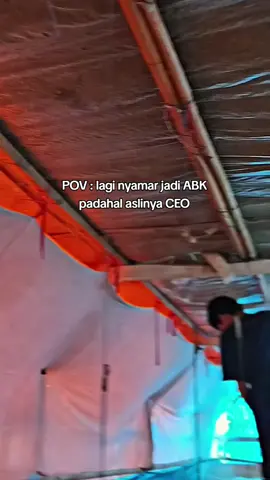 #peternakmuda #peternakayam #bossmuda #ayambroiler #storywa #irpoultryfarm #masukberandafyp #fypage 