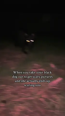 She is not afraid of humans or animals. We were not the only ones in the woods. 