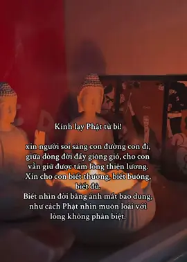 Kính lạy Phật từ bi! xin người soi sáng con đường con đi, giữa dòng đời đầy giông gió, cho con vẫn giữ được tấm lòng thiện lương. Xin cho con biết thương, biết buông, biết đủ. Biết nhìn đời bằng ánh mắt bao dung,  như cách Phật nhìn muôn loài với lòng không phân biệt. #phatphapnhiemmau #loiphatday #xh #viraltiktok #buddha #phatphap #daophat 