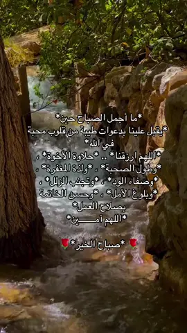 #صباحكم_سعادهـ🌸🍃 