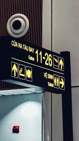 Ước mơ của chúng ta 📸#travel #viral 