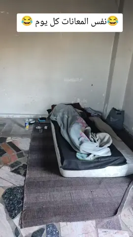 #كندا🇨🇦 #العراق🇮🇶❤️ #نرويج🇳🇴 #تركيا🇹🇷اسطنبول #سوريا_تركيا_العراق_السعودية_الكويت_عمان 