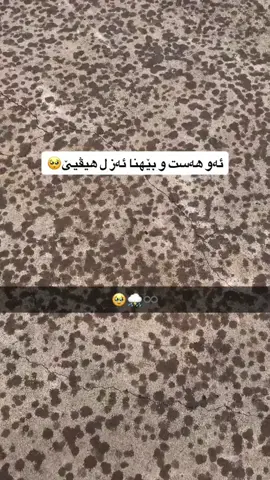❤️❤️❤️