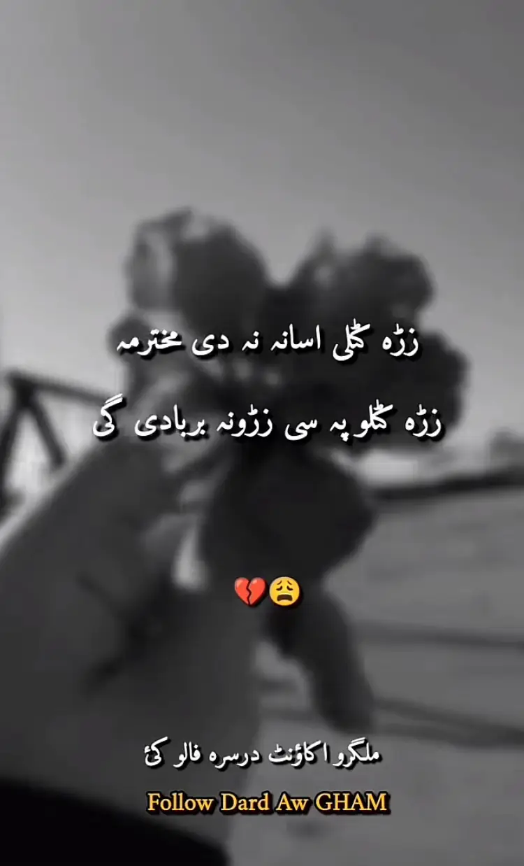 #pashto #pashtopoetry #foryou #fypシ゚ 