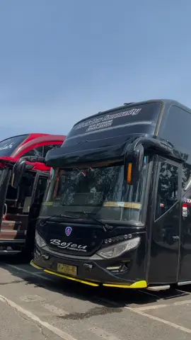 scania body jb 2 sangat terlihat padat🤩🤩#busmaniacommunity #busmania #cinematicbus 