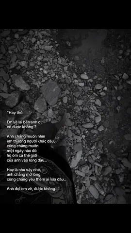 #creatorsearchinsights 