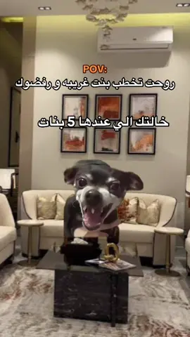 #شعب_الصيني_ماله_حل😂😂 