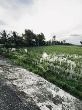 “ càng đơn giản càng hanhphuc..!