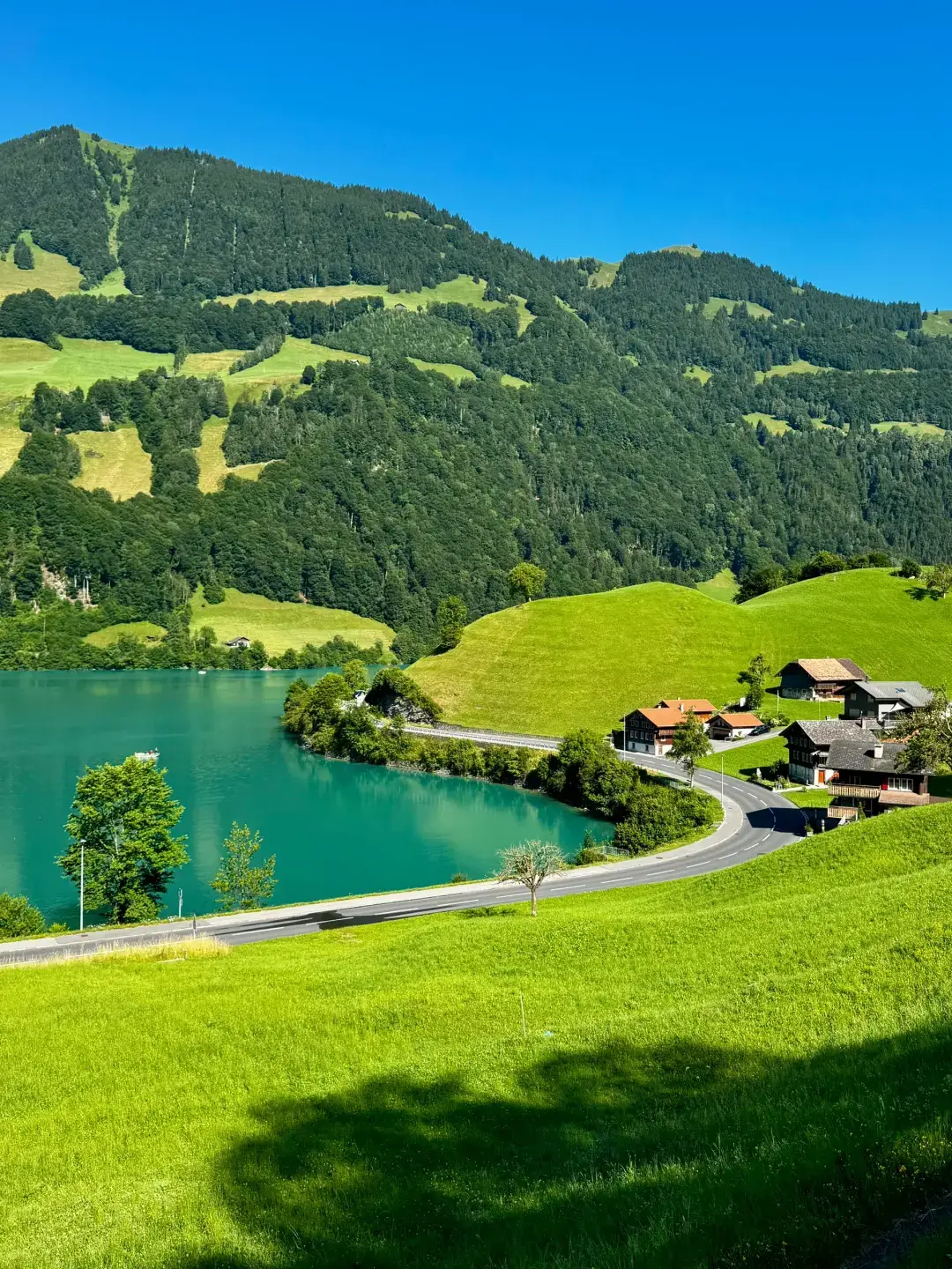 I can never forget that moment, the green grass, the clear sky, and the sparkling lake were all a beautiful blue.🐢🇨🇭 #switzerland #binhyencanhdep #foryou 