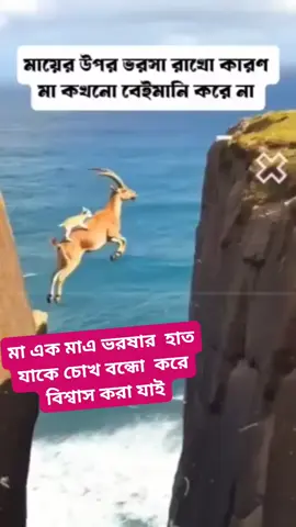 পৃথিবীতে একজন মানুষ যাকে বিশ্বাস করা যায় সে হল মা ❤️❤️❤️❤️