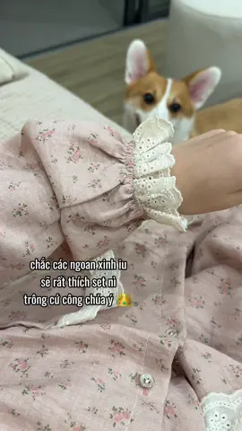 các ngoan cinh iu oi #fybシ #xh 