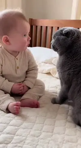 kedi ile bebeğin tuhaf dostluğu #cat #baby #keşfet #cute #funny 