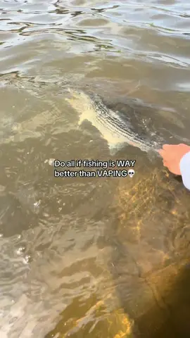 Fishing is WAY better!😂 #fishing #fishtok #fishingvideos 