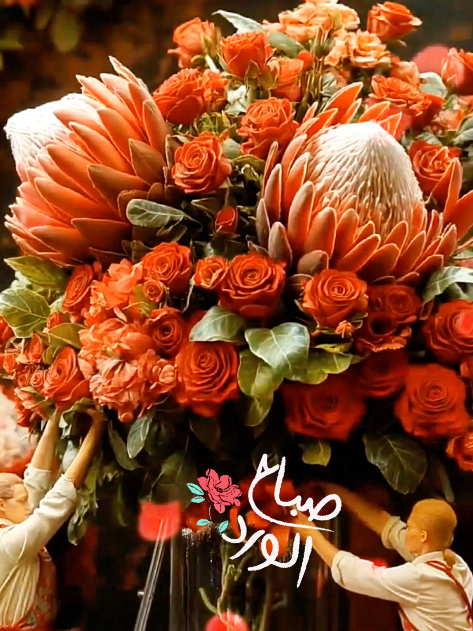 صباح الورد_صباحيات #صباح_الورد #صباحيات #viral #fyp #مشاهدات @Zainab👩🏻‍🍳 @sally_9997 @dj_slay9 