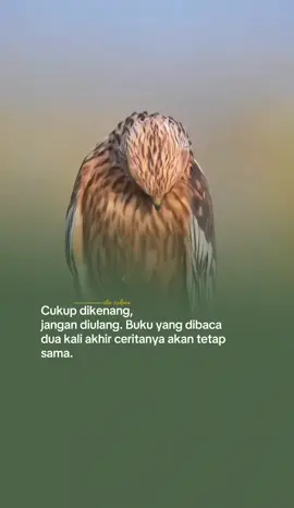#qoutes #foryou #foryoupage #laguviral #CapCut 