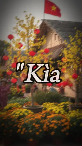 Kìa Tết Đang Sang 🧧🌼🌸#tet #tet2026 #tetnguyendan2026🧧🎆🧨 #khongkhitet #viral 