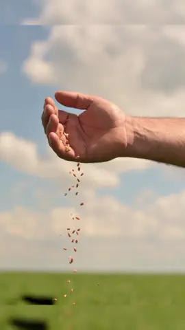 Ethio Quote #faith #faithoverfear #እምነታዊት #ethiopian_tik_tok🇪🇹🇪🇹🇪🇹🇪🇹 #viral 