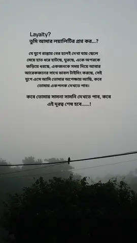 LOYALTY? তুমি আমার লয়ালিটির প্রশ্ন করো..? যেই যুগে রাস্তায় বের হলেই দেখা যায় ছেলে মেয়ে হাত ধরে হাঁটছে, ঘুরছে, একে অপরকে জড়িয়ে ধরছে, একজনকে সময় দিয়ে আবার আরেক জনকে ডাবল টাইমিং করছে, সেই যুগে এসে আমি তোমার অপেক্ষায় আছি, কবে তোমায় এক পলক দেখতে পাবো। কবে তোমায় সামনা সামনি ছুঁতে পারবো, কবে আমাদের এই দূরত্ব শেষ হবে'.?