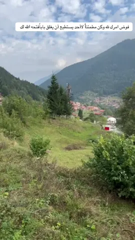 #صباح البدايات الجميلة 🌺#الشعب_الصيني_ماله_حل😂😂 