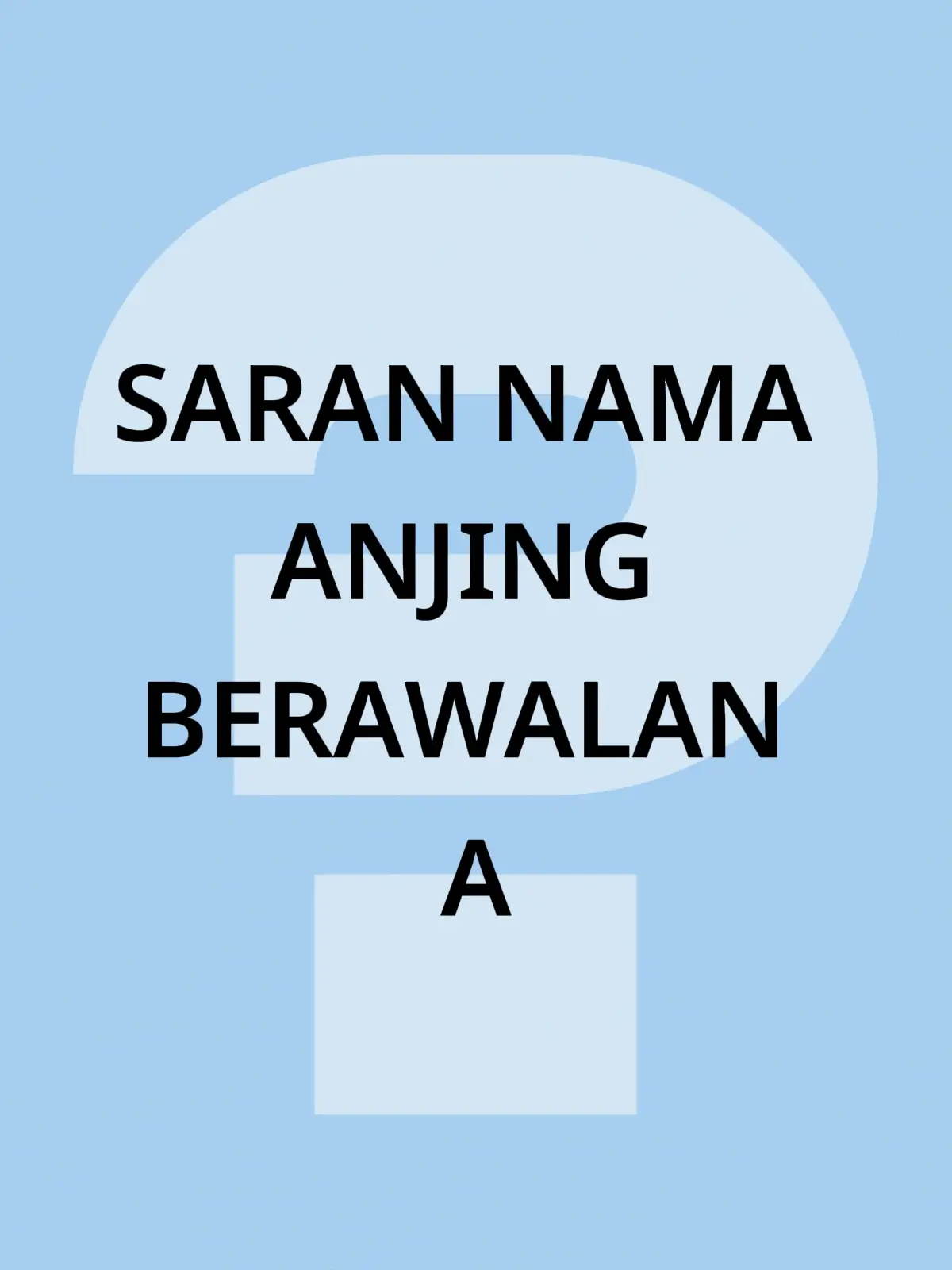 #anjinglucu #anjingkampung  #fyppppppppppppppppppppppp 