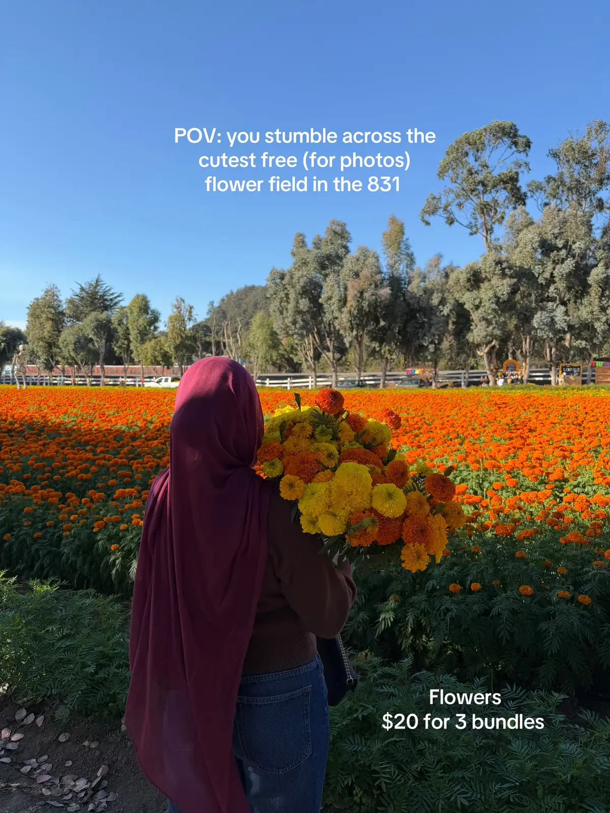 10/10 experience  Location - 500 Hall Rd Watsonville  #fallactivities #831 #watsonville #flowerfield 