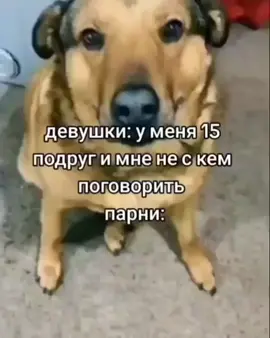 лучший слушатель  #fyp #rek #рекомендации #собакалучшийдруг 