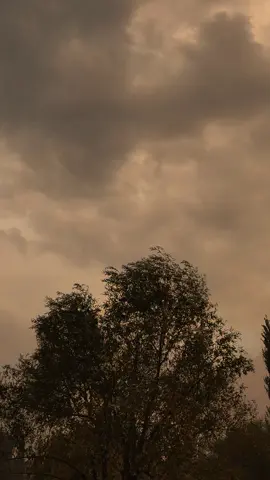 رنجش ہی سہی دل ہی دکھانے کے لیے آ  آ پھر سے مجھے چھوڑ کے جانے کے لیے آ  کچھ تو مرے پندار محبت کا بھرم رکھ  تو بھی تو کبھی مجھ کو منانے کے لیے آ  پہلے سے مراسم نہ سہی پھر بھی کبھی تو  رسم و رہ دنیا ہی نبھانے کے لیے آ  کس کس کو بتائیں گے جدائی کا سبب ہم  تو مجھ سے خفا ہے تو زمانے کے لیے آ  اک عمر سے ہوں لذت گریہ سے بھی محروم  اے راحت جاں مجھ کو رلانے کے لیے آ  اب تک دل خوش فہم کو تجھ سے ہیں امیدیں  یہ آخری شمعیں بھی بجھانے کے لیے آ  احمد فراز