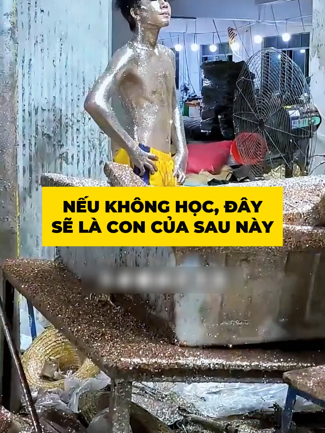 Khoảng cách xã hội giữa những người học và những người không học lớn đến mức nào? #hochanhkhongvatva #nuoidaycon #tienphongbooks #daycon #giaoduc