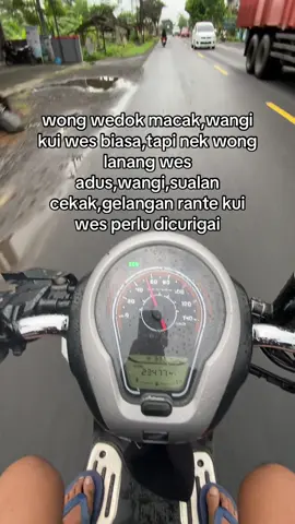 lek gak ngalor yo ngidul🤫🤣