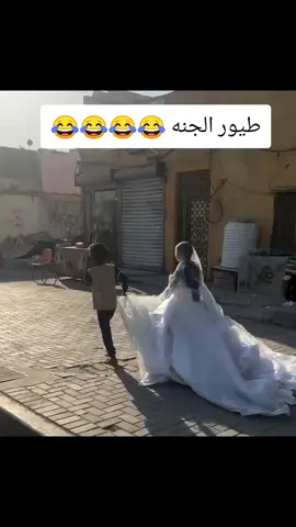 #طيور_الجنة  #شباب_وبنات_العراق #السيديه_شارع_التجاري #هشتاقات_تيك_توك_العرب #العامريه_شارع_عمل_الشعبي 