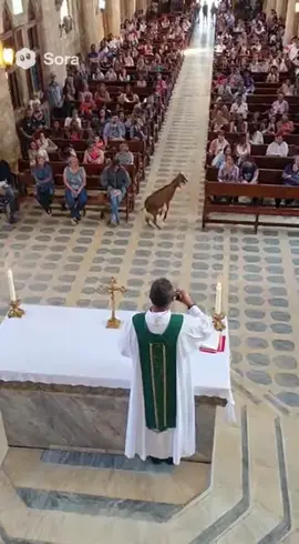Bode no meio da igreja. #fyp #ia 