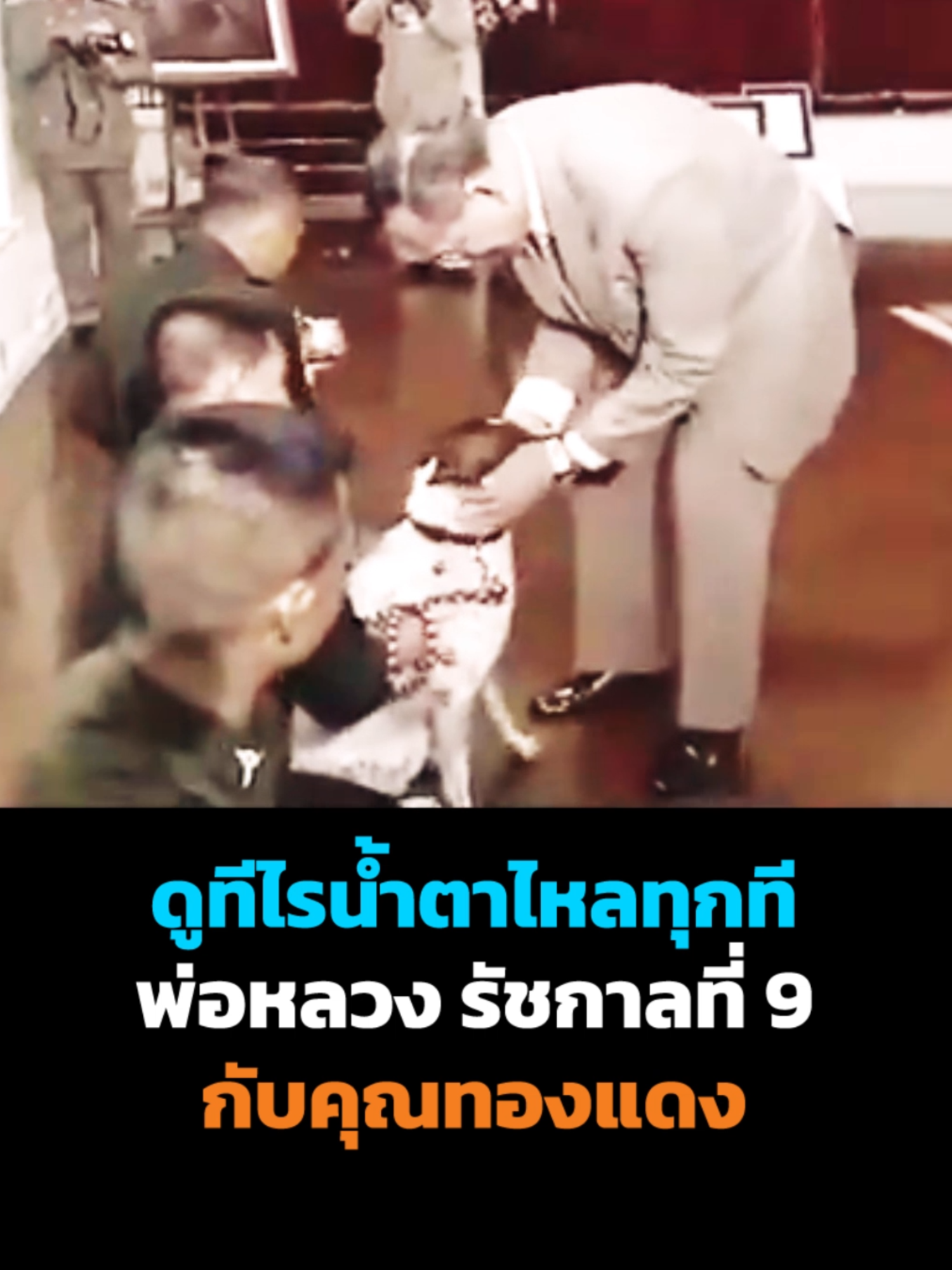 ดูทีไรน้ำตาไหลทุกที พ่อหลวง กับคุณทองแดง #13สยามไทย #รัชกาลที่9 #พระปรมินทรมหาภูมิพลอดุลย์เดช #ในหลวงรัชกาลที่9 #ในหลวง #13ตุลาคมวันที่น้ําตาไหลริน