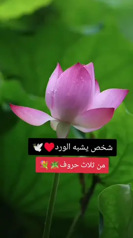 لا تنسونه من المتابعه #عبارات #عباراتكم #مشاعركم_هنا 