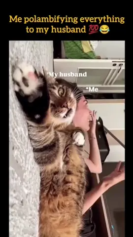 #duet with @💔  ĻιŦⒺ Ｆ𝕒เ𝐋Ǘ𝐑𝑒 𝓖ⓘｒℓ  💔 