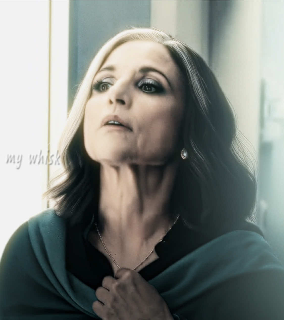 #DIRECTORBIRD // #directorbird #valentinaallegradefontaine #melissagold #julialouisdreyfus 