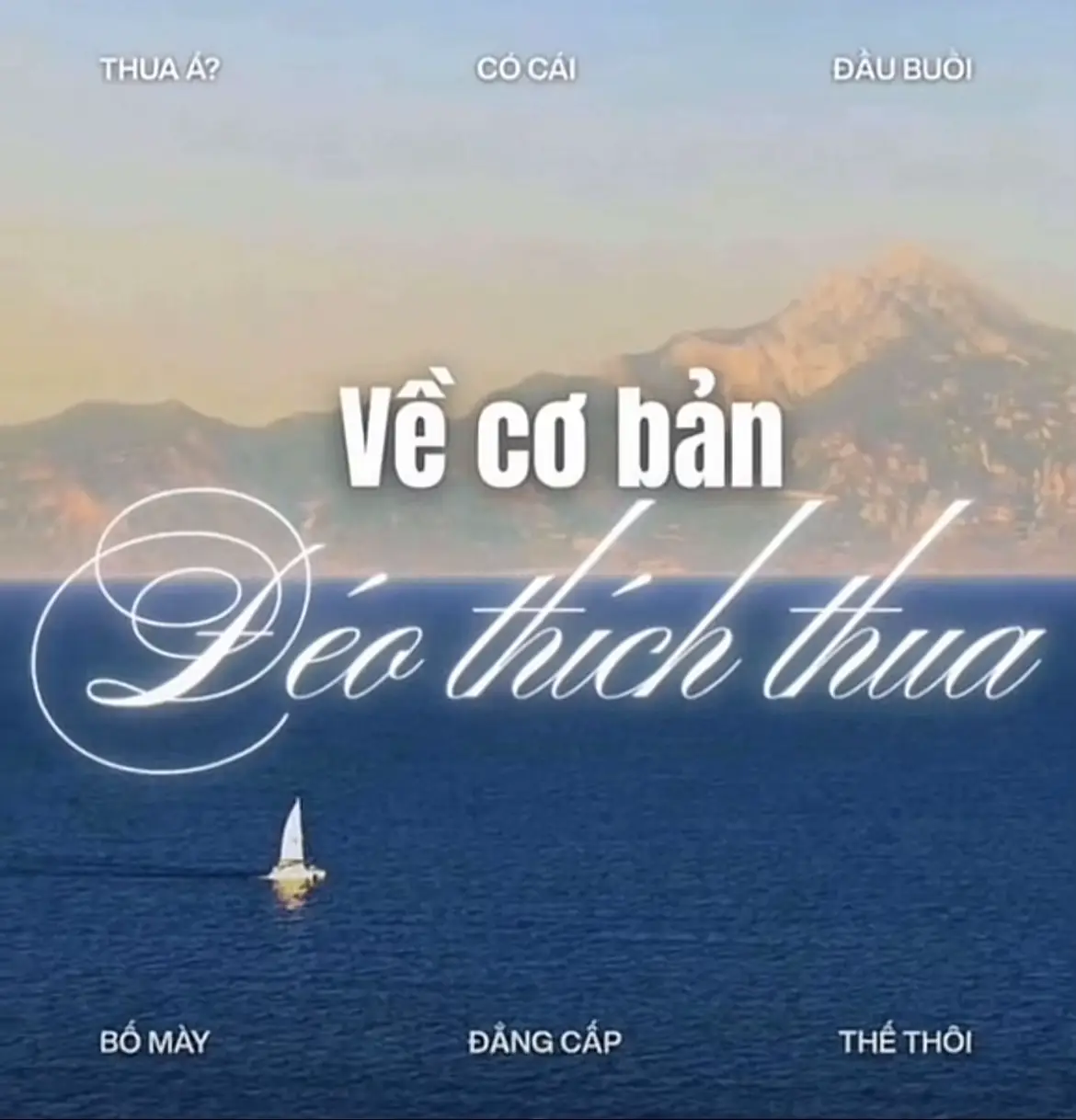 #tiktoklive #xuhuong #viral 