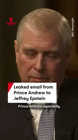 Prince Andrew reportedly told disgraced financier Jeffrey Epstein 