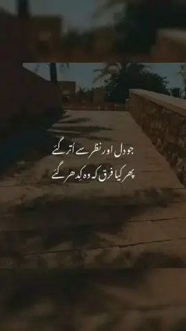 #deeplines #islamic_video #foryou #urduline