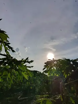 ကျနော်ကတော့ ချစ်နေဆဲပါပဲ ဗျာ