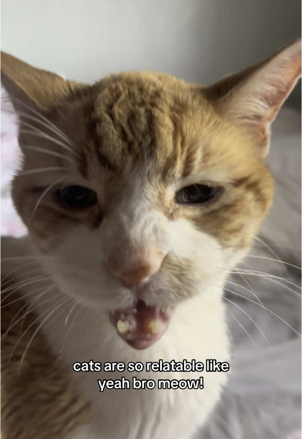 mrow 