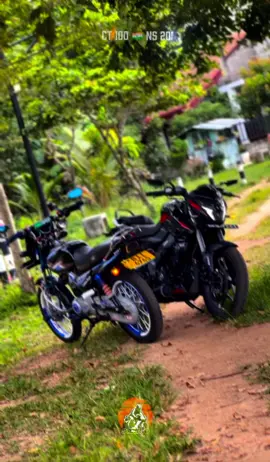 Mh 💗🫂 BII___6765 🇮🇳 BKB___7261 🍒 #onemillionaudition #viral #ct100modified #ns200 #foryoupage @Y 🐳