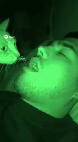 猫は飼い主を育てているCats are raising their owners #かわいい猫 #猫動画 #面白い動画 #cats #猫の恩返し 