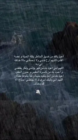 #يارب #سندك_هو_الله #اعتذر_لنفسي #هدوء 