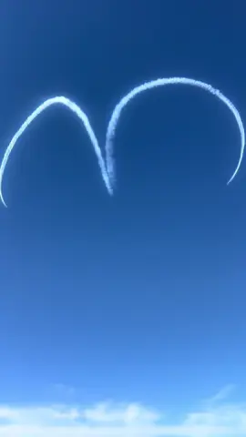 We were feeling the moments ✈️💨 Canadian Snowbirds over the Bay — Fleet Week 2025 never disappoints! #FleetWeek #Snowbirds #AirshowVibes #SFViews #GoldenGateMoments #WhaleWatchingSF (Video credit: Catie Arena 10/12/25)