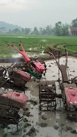 salam satu lumpur.  #traktormania #traktormaniaindonesia #traktor #fypシ゚ 