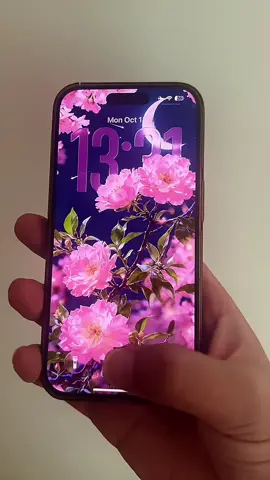 Who doesn’t like this kind of 3D wallpaper?  Wallpaper acquisition tutorial. Flower wallpaper. Ultra clear 8k wallpaper 3D naked eye wallpaper. iPhone wallpaper ios26 wallpaper. #ios26wallpaper #flowers #capcut #capcutforus #capcutpioneer 
